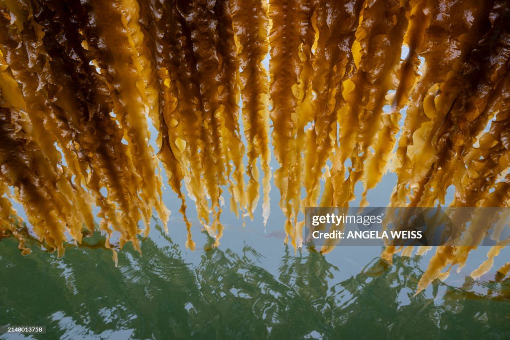 US-ENVIRONMENT-OCEANS