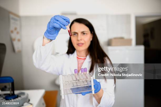 female biologist pip petting cells - precision oncology stock pictures, royalty-free photos & images