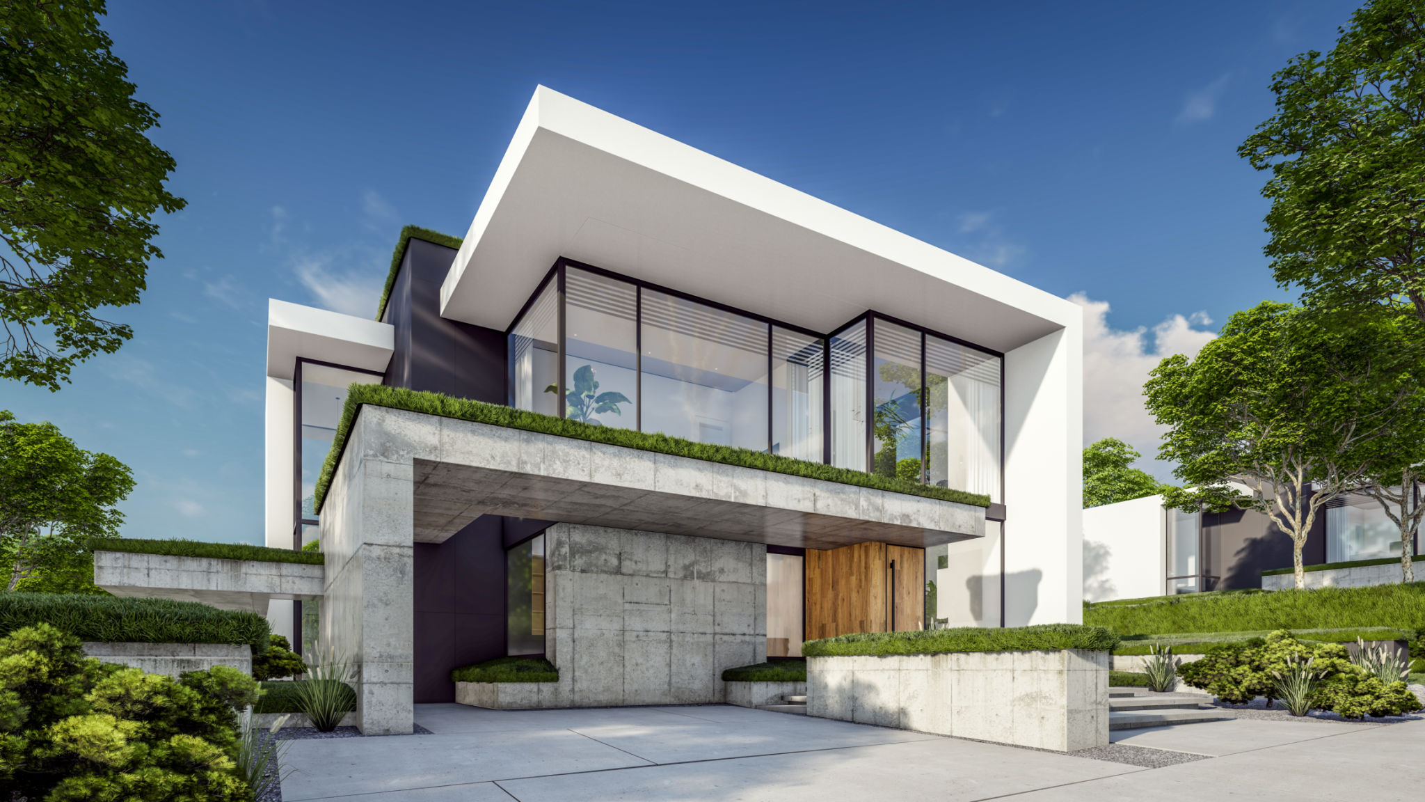 modern tropical house