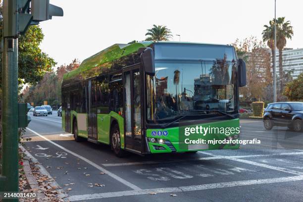 a green bus in córdoba, spain - bus stock-fotos und bilder