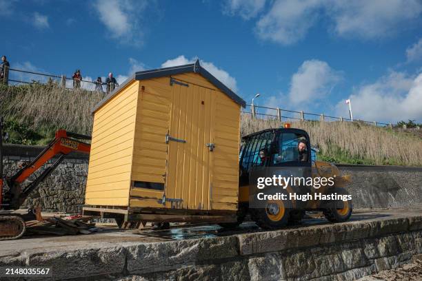 Volunteers use a fork lift vehicle to reposition beach huts at Castle Beach the day after three beach huts were swept into the sea on the previous...