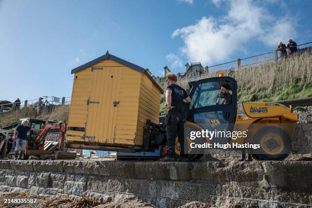 Volunteers use a fork lift vehicle to reposition beach huts at Castle Beach the day after three beach huts were swept into the sea on the previous...