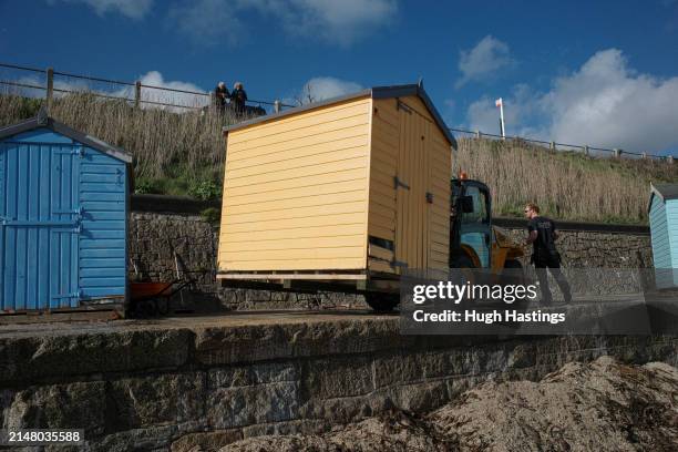 Volunteers use a fork lift vehicle to reposition beach huts at Castle Beach the day after three beach huts were swept into the sea on the previous...