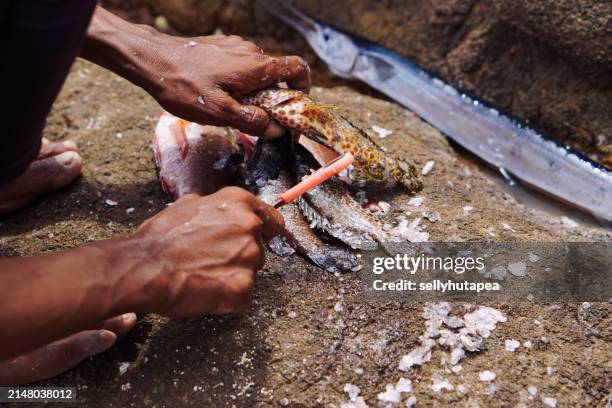 close-up of man preparing bait for fishing - hook scale stock pictures, royalty-free photos & images