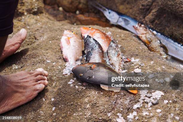 close-up of man preparing bait for fishing - hook scale stock pictures, royalty-free photos & images