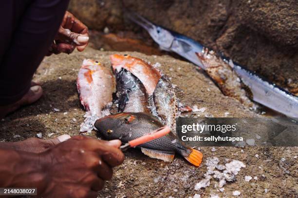 close-up of man preparing bait for fishing - hook scale stock pictures, royalty-free photos & images
