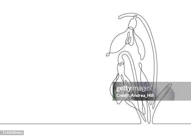 spring snowdrop flower single line drawing with editable stroke and copy space - snowdrop stock illustrations