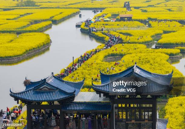 Aerial view of visitors flocking to the Qianduo scenic area to enjoy rapeseed flower blossoms in spring on April 9, 2024 in Xinghua, Taizhou City,...