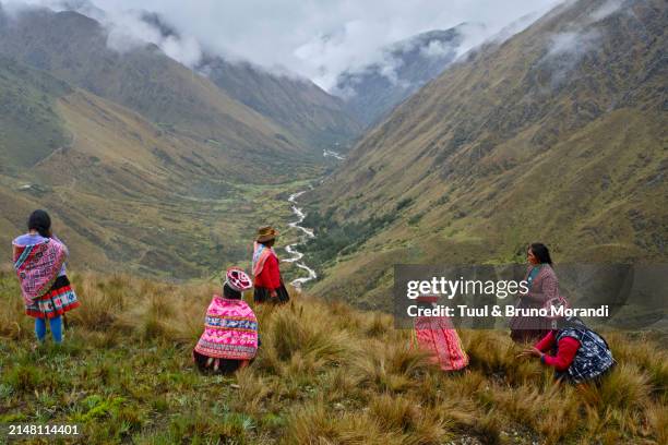 peru, communities of the andes, group of women in the vilcanota valley - vilcanota river stock pictures, royalty-free photos & images