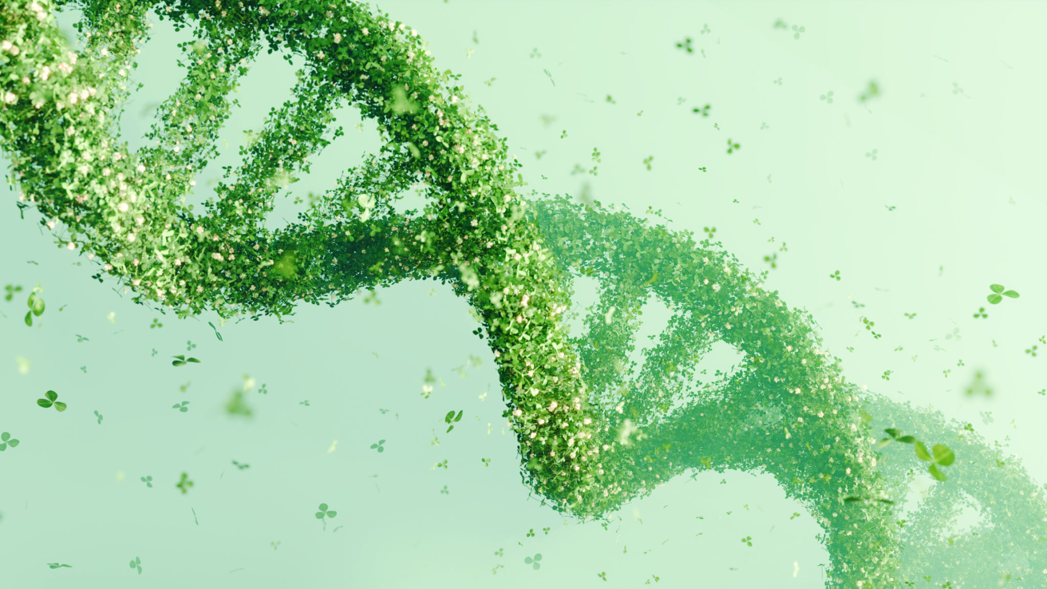 nature technology
