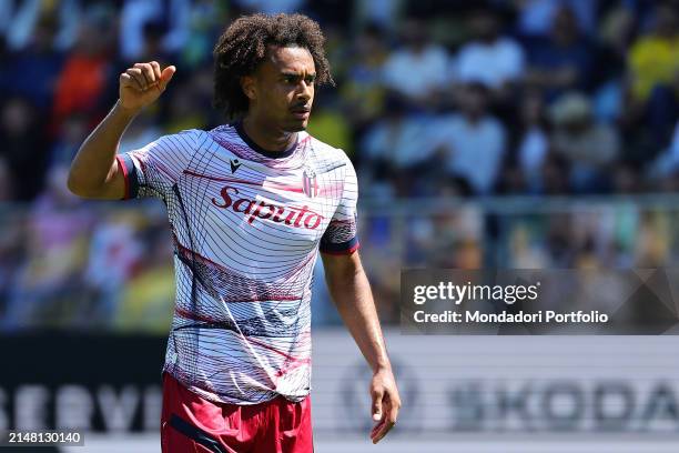 Joshua Zirkzee of Bologna FC gestures during the Serie A football match between Frosinone Calcio and Bologna FC at Benito Stirpe stadium in Frosinone...
