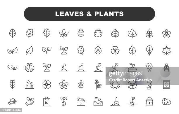 leaves and plants line icons. editable stroke. contains such icons as leaf, plant, nature, environment, ecology, oak, palm, maple, pine, flower, hemp, laurel, seed, garden, watering, growth, agriculture, farm. - pinetree garden seeds stock illustrations