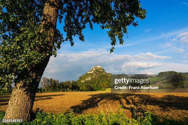 rural landscape near hochosterwitz castle - hochosterwitz castle stock pictures, royalty-free photos & images