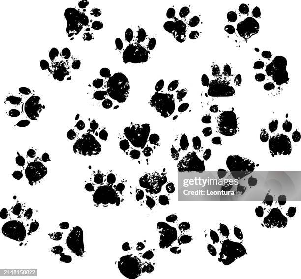 ilustrações de stock, clip art, desenhos animados e ícones de dirty cat prints - pegada de pata de animal