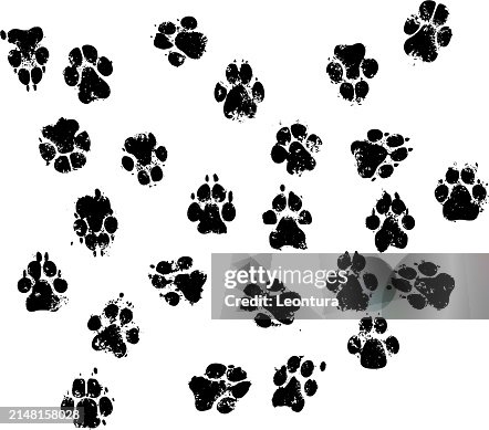 Dirty Dog Prints Dirty Dog Prints