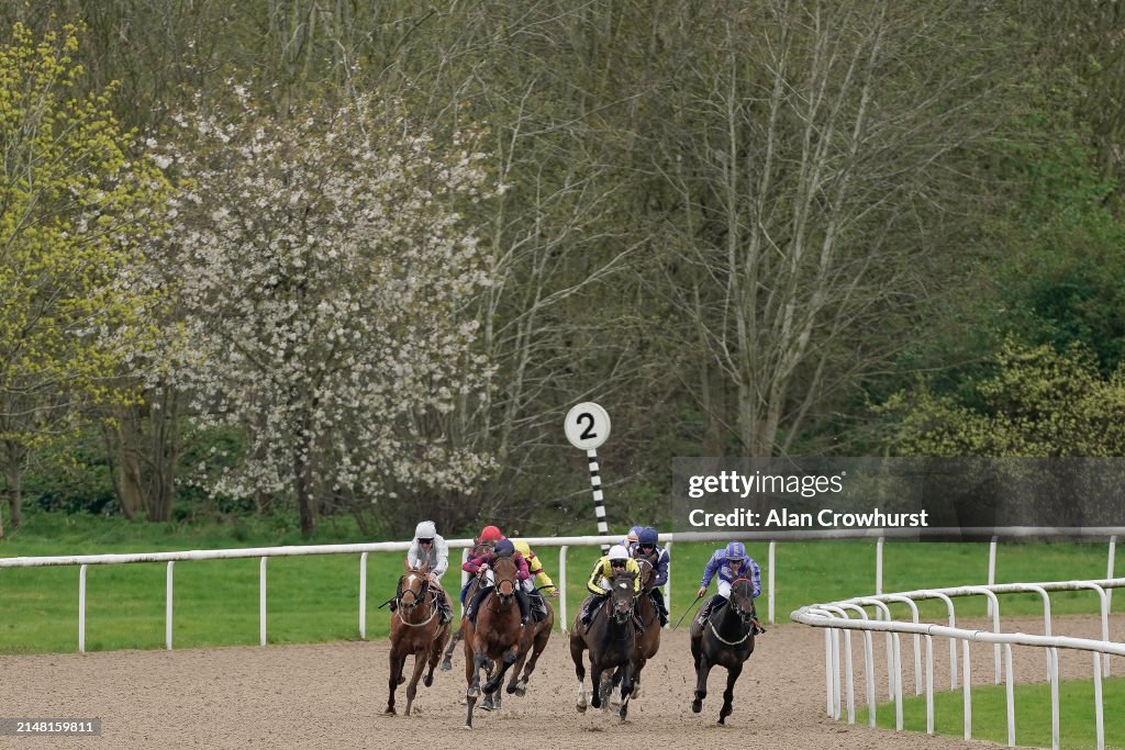 Wolverhampton Races Today Hector Crouch riding My Noble Lord ) win The Download The Racecourse ...