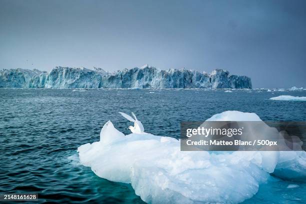 scenic view of frozen sea against clear sky - blanc stock pictures, royalty-free photos & images