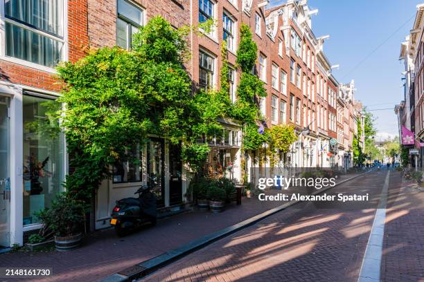 street with green plants in negen straatjes neighbourhood in amsterdam, netherlands - negen straatjes stock pictures, royalty-free photos & images