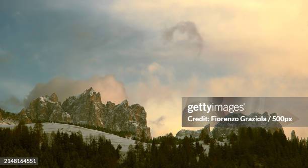 low angle view of trees against sky during winter,soraga di fassa,italy - soraga stock pictures, royalty-free photos & images