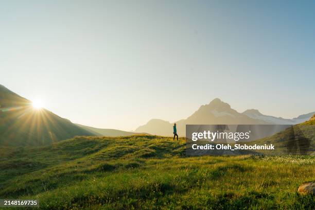 woman hiking through the meadow in swiss alps in morning - honra imagens e fotografias de stock