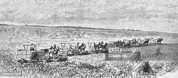 harvesting in dakota - illinois countryside stock illustrations