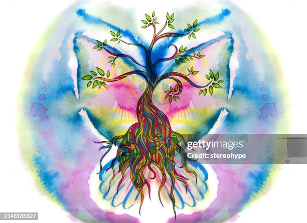 butterfly tree - old growth forest stock illustrations