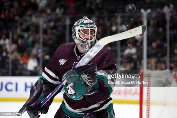Lukas Dostal of the Anaheim Ducks tosses the puck up during a stop in play during the third period of a game against the Los Angeles Kings at Honda...