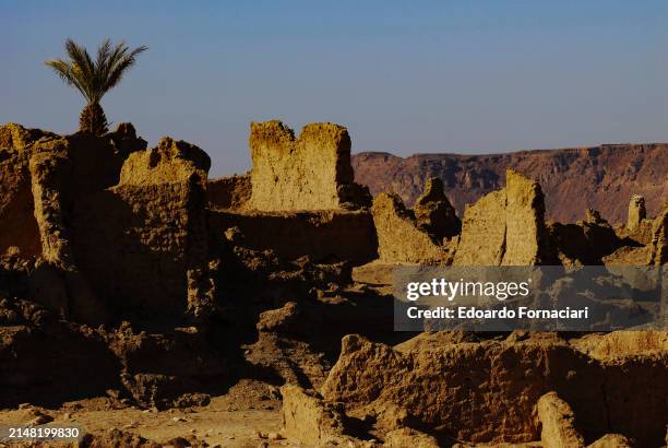 Garama Family 32 Garama Stock Photos, High-Res Pictures, and Images - Getty Images