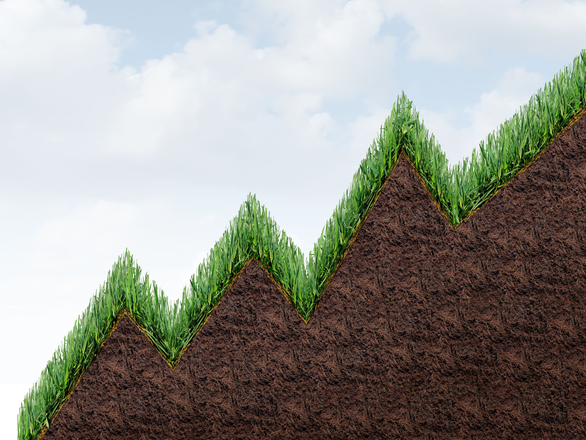 lawn care trends