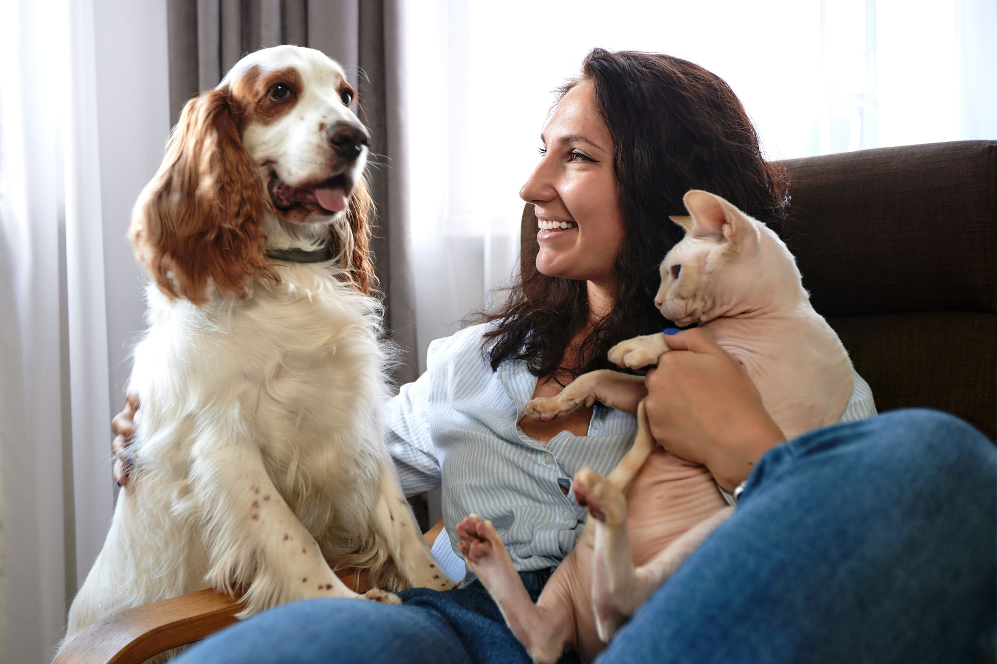 interview dog sitter