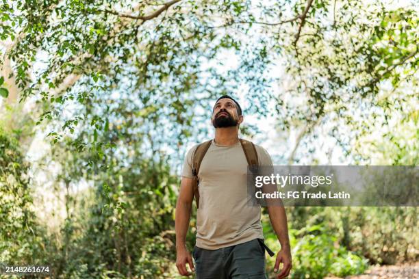 mid adult man walking and looking around in the forest - mid-adult-men stock pictures, royalty-free photos & images