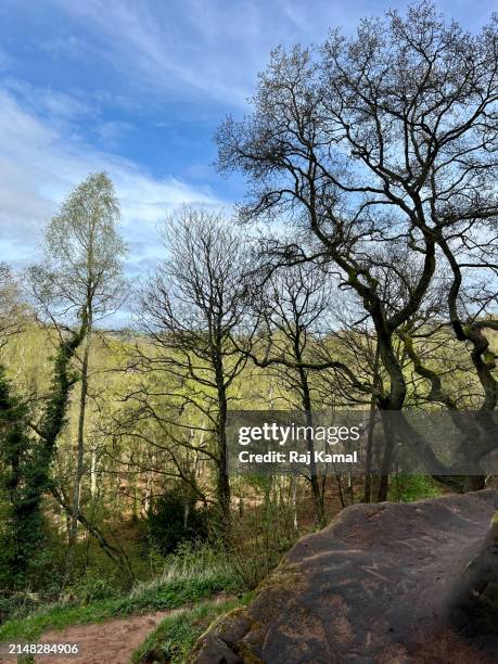 Kinver Stream 22 Kinver Edge Stock Photos, High-Res Pictures, and Images - Getty Images