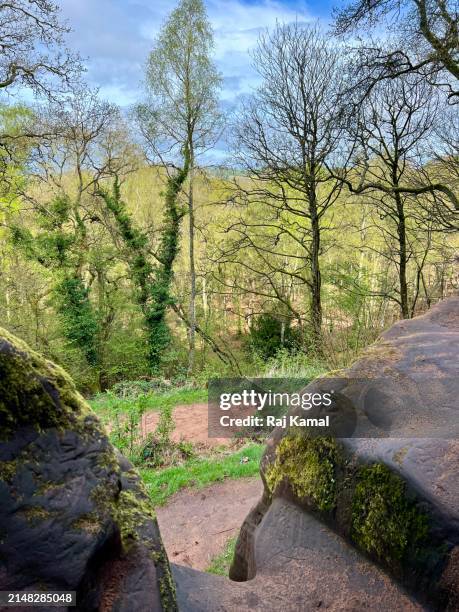 Kinver Stream 25 Kinver Edge Stock Photos, High-Res Pictures, and Images - Getty Images