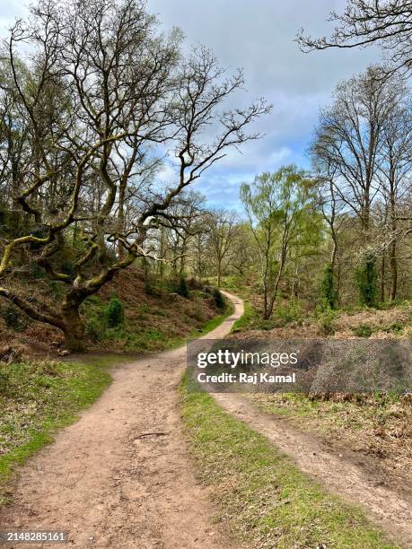 Kinver Stream 26 Kinver Edge Stock Photos, High-Res Pictures, and Images - Getty Images