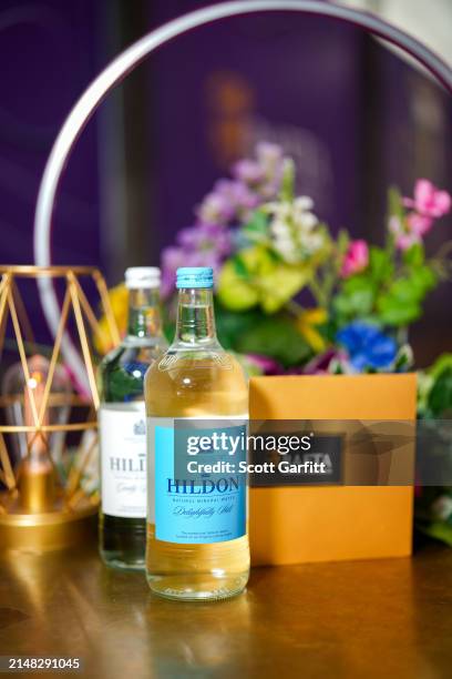 Hildon Natural Mineral Water ahead of the BAFTA Games Awards 2024 at the Queen Elizabeth Hall on April 11, 2024 in London, England.