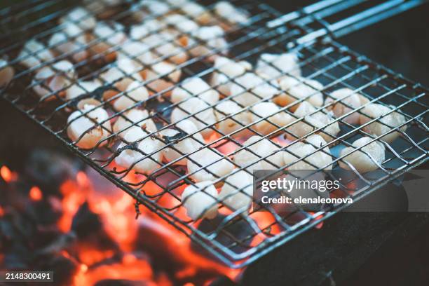 grilled seafood - flammable stock pictures, royalty-free photos & images