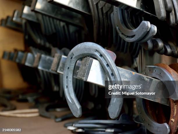 shoeing a horse - schmied stock-fotos und bilder