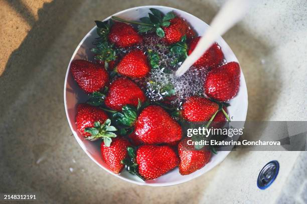 rinsing strawberries to perfection. water flowing over fresh berries in a colander, kitchen sink in the background. - watering succulent stock pictures, royalty-free photos & images