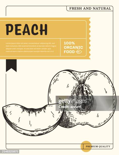 peach sketch icon package design template - nectarine stock illustrations