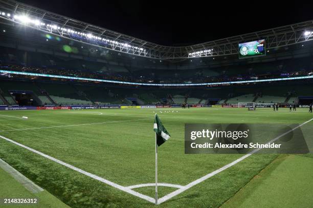 General view of the field before a Group F match between Palmeiras and Liverpool as part of Copa CONMEBOL Libertadores 2024 at Allianz Parque on...