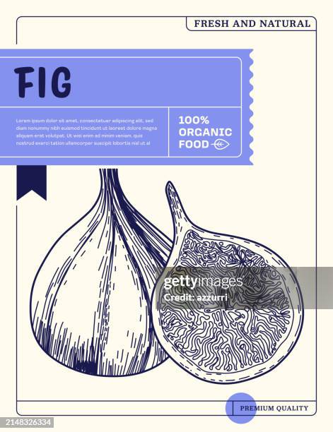 fig sketch icon package design template - fig tree stock illustrations