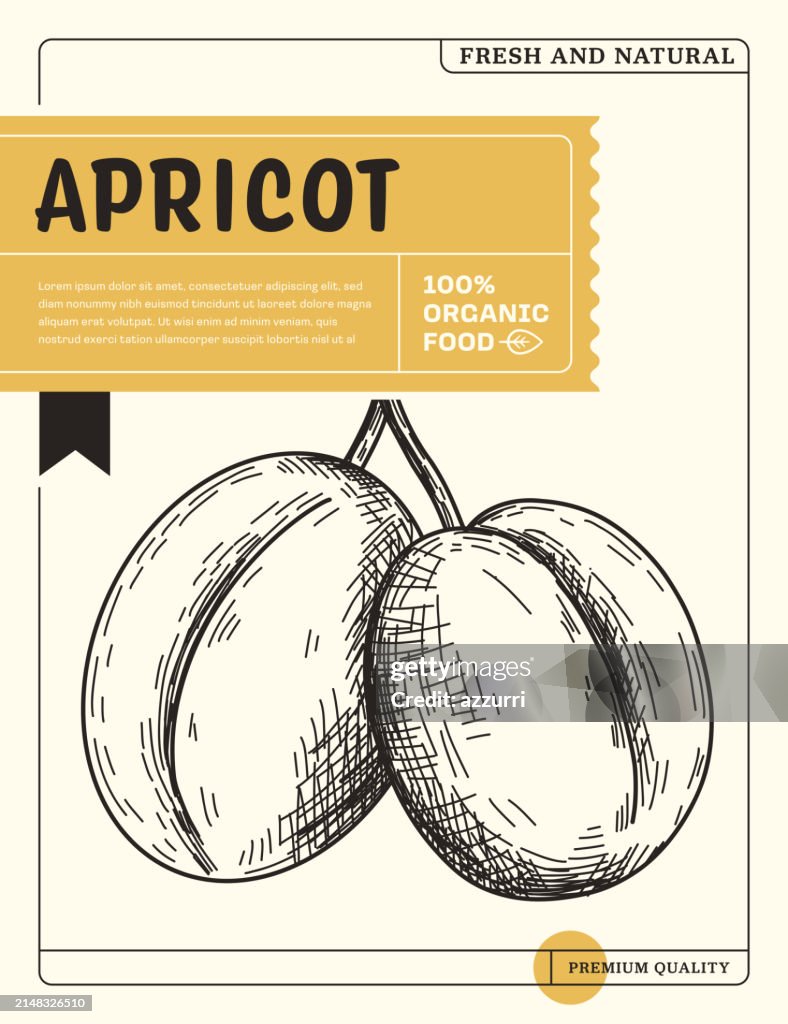 Apricot Sketch Icon Package Design Template