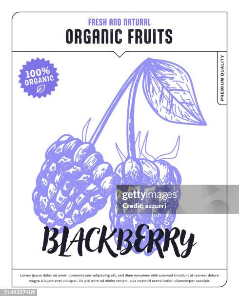 blackberry sketch icon - summer fruit stock illustrations