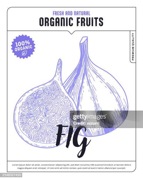 fig sketch icon - fig tree stock illustrations