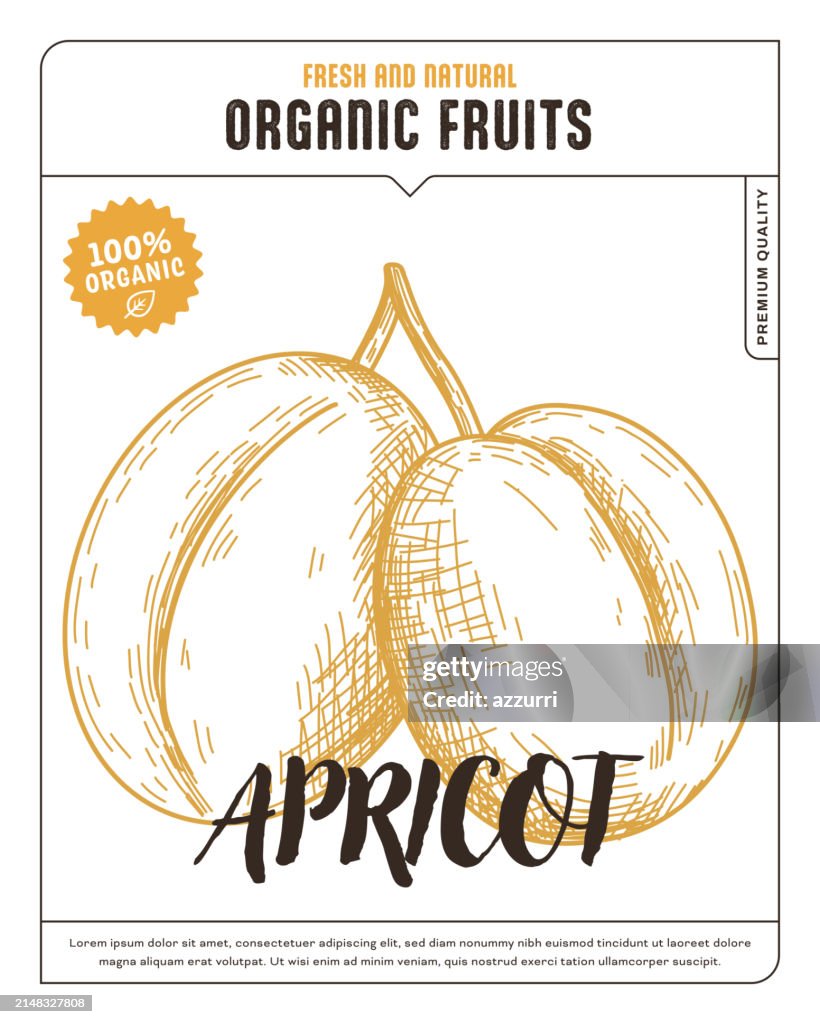 Apricot Sketch Icon