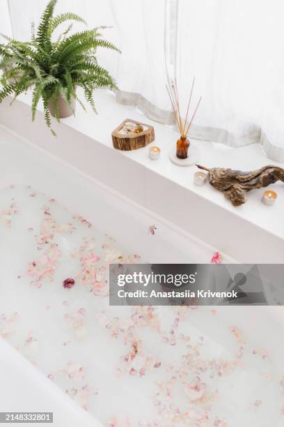 white bath with milk, burning candles, aroma diffuser and rose petals. - white rose flower spa stock-fotos und bilder