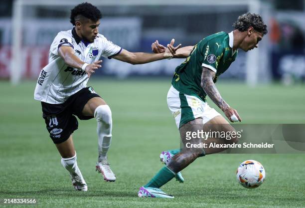 Amaro of Liverpool and Richard Rios of Palmeiras fight for the ball during a Group F match between Palmeiras and Liverpool as part of Copa CONMEBOL...