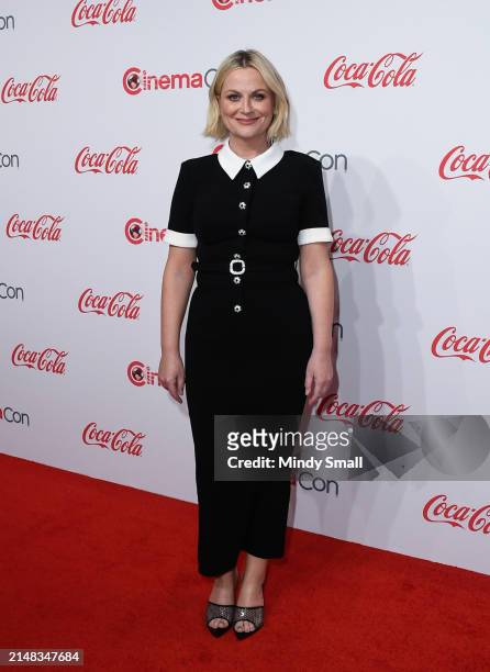 Amy Poehler, recipient of the CinemaCon Vanguard Award, attends the CinemaCon Big Screen Achievement Awards at Omnia Nightclub at Caesars Palace...