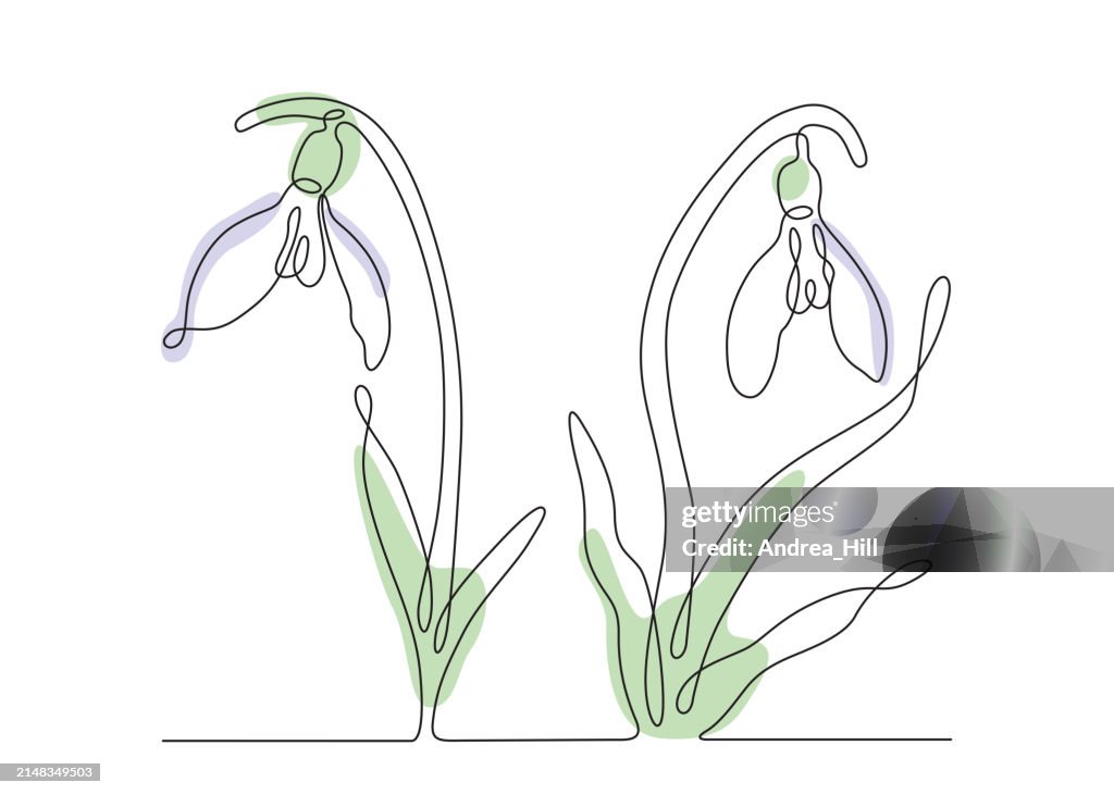 Snowdrop Flower Single Line Drawing With Editable Stroke And Boho Color ...