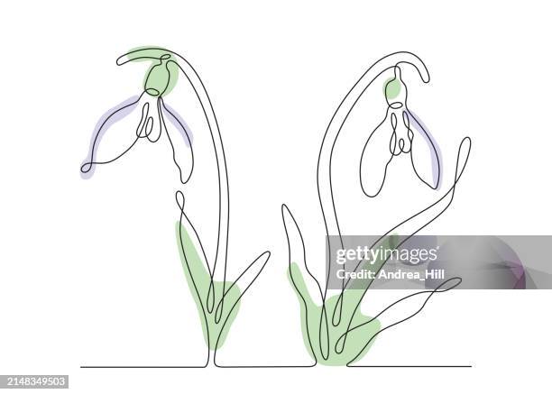 snowdrop flower single line drawing with editable stroke and boho color elements - snowdrop stock illustrations